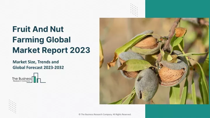 fruit and nut farming global market report 2023