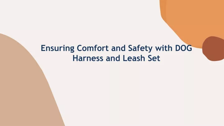 ensuring comfort and safety with dog harness
