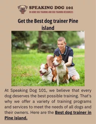 The Best Dog Trainer in Pine Island: Your Dog's New Best Friend