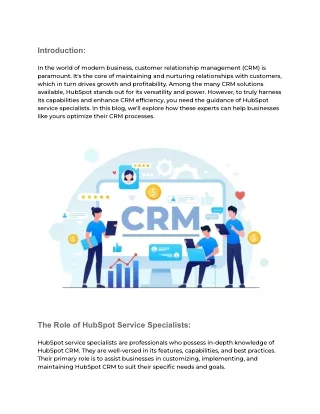 Enhancing CRM Efficiency with HubSpot Service Specialists