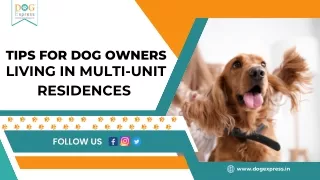 Tips for Dog Owners Living in Multi-unit Residences