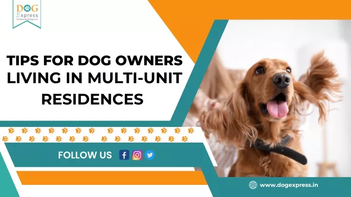 tips for dog owners living in multi unit