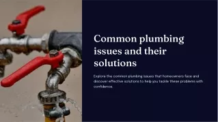 Common plumbing issues and their solutions