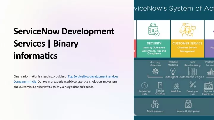 servicenow development services binary informatics