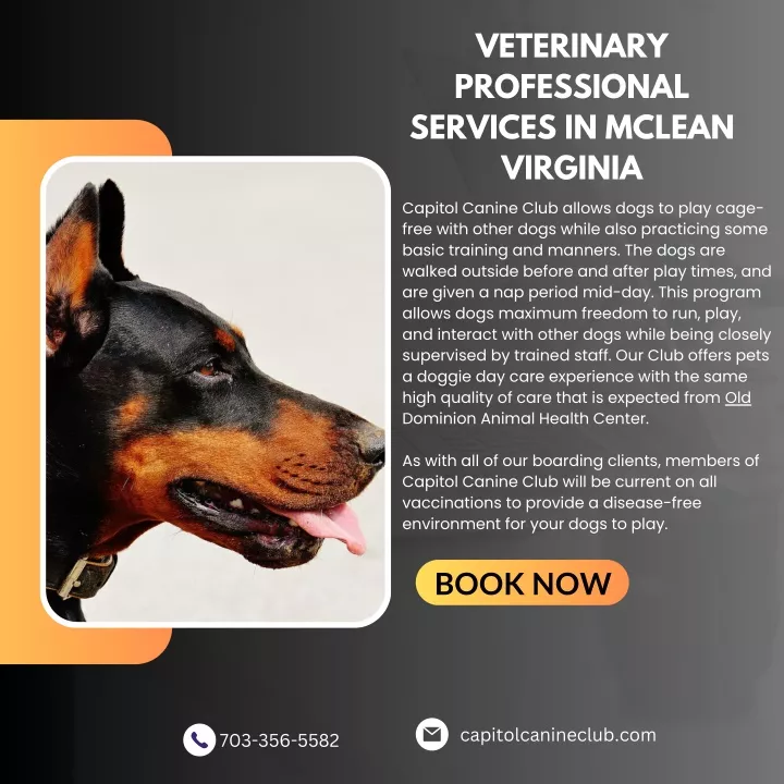 veterinary professional services in mclean