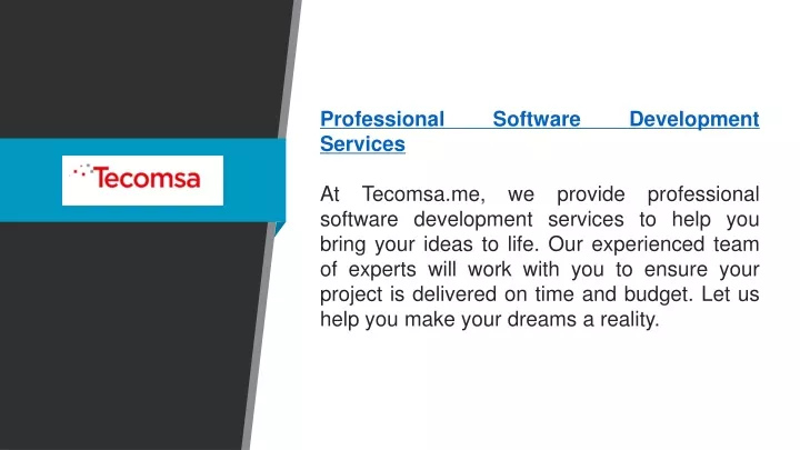 professional software development services