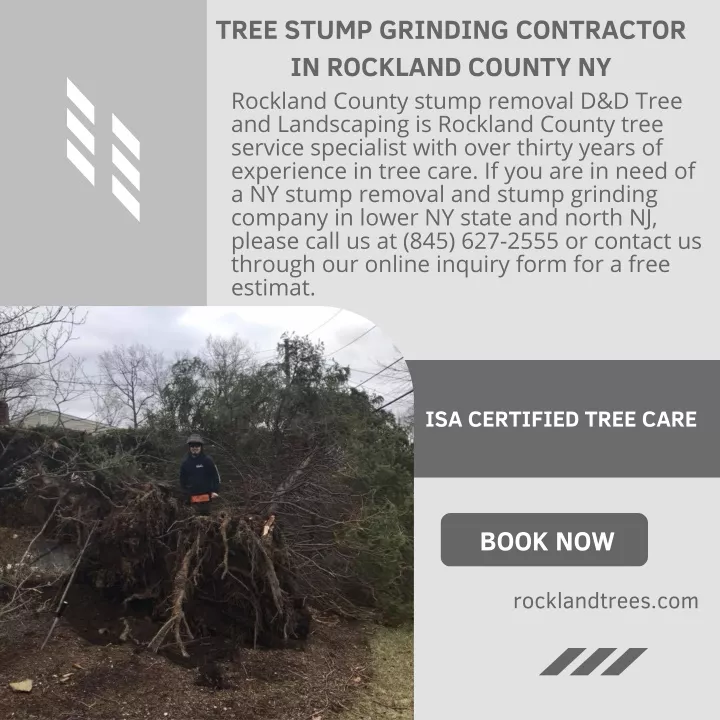 tree stump grinding contractor in rockland county