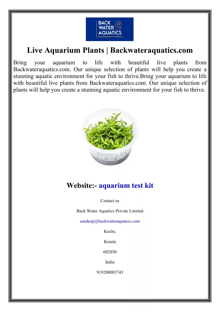 live aquarium plants backwateraquatics com