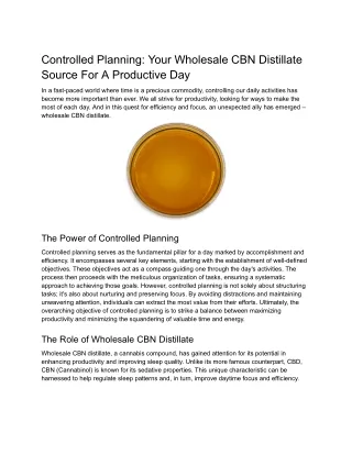 Controlled Planning_ Your Wholesale Cbn Distillate Source For A Productive Day