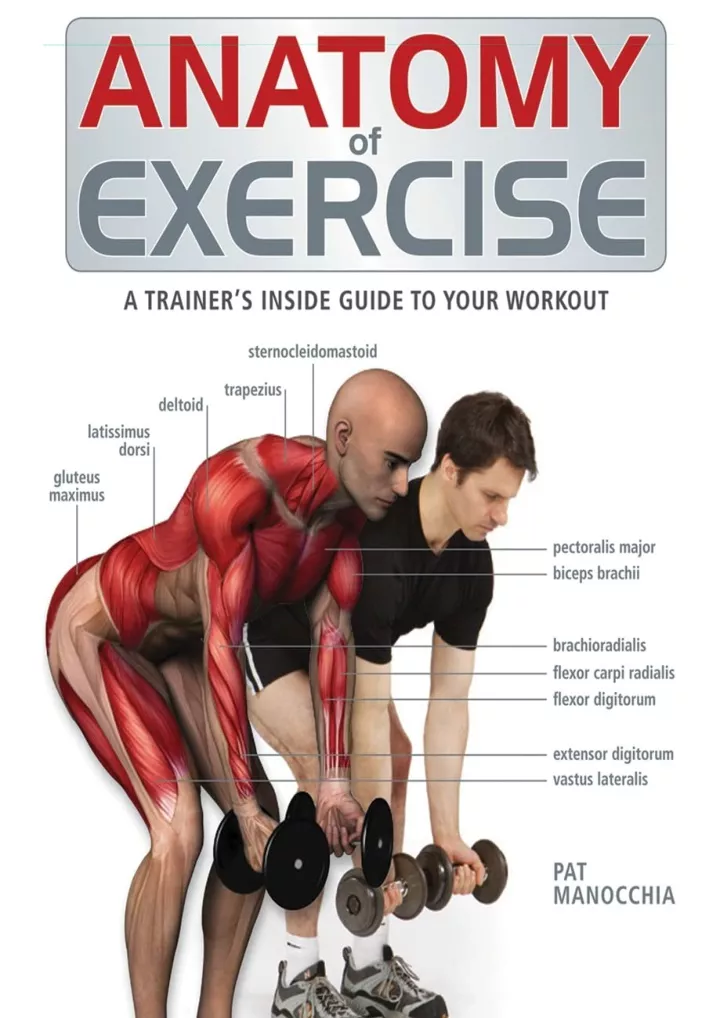 anatomy of exercise a trainer s inside guide