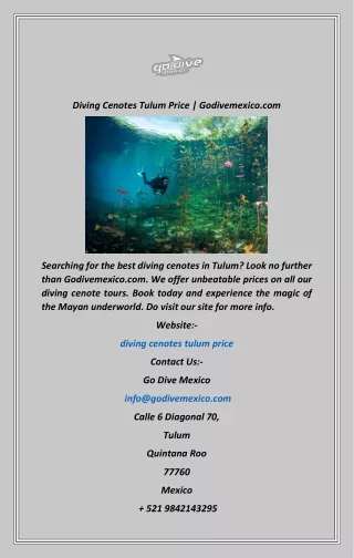 Diving Cenotes Tulum Price  Godivemexico