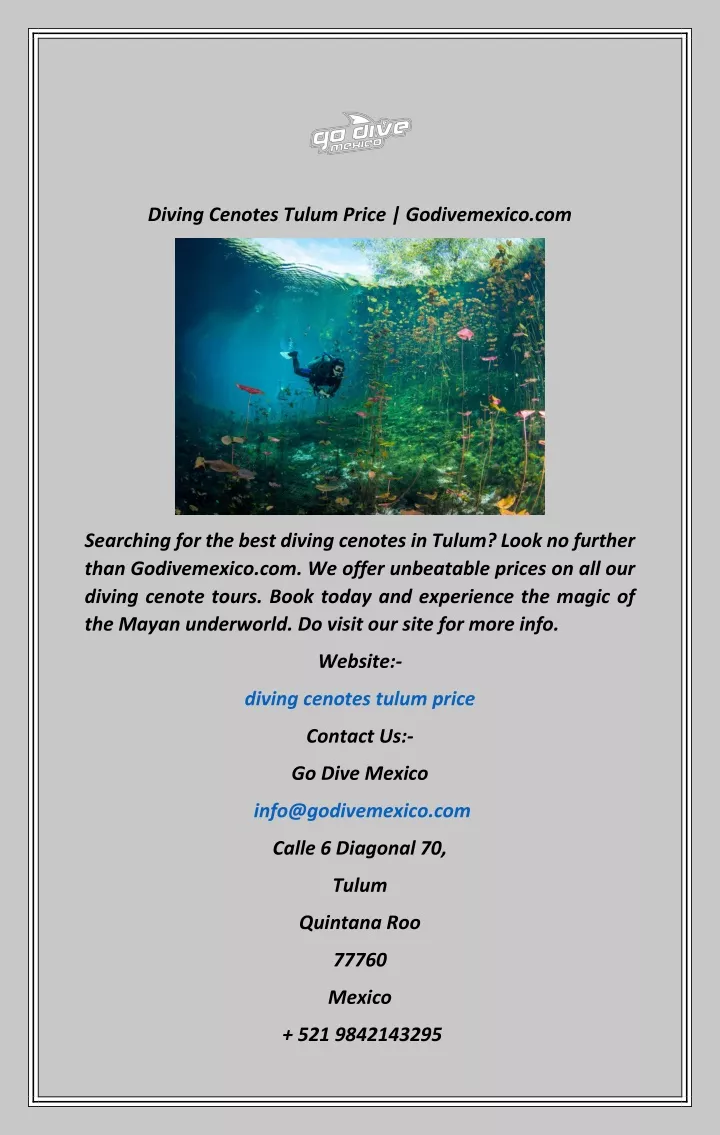 diving cenotes tulum price godivemexico com