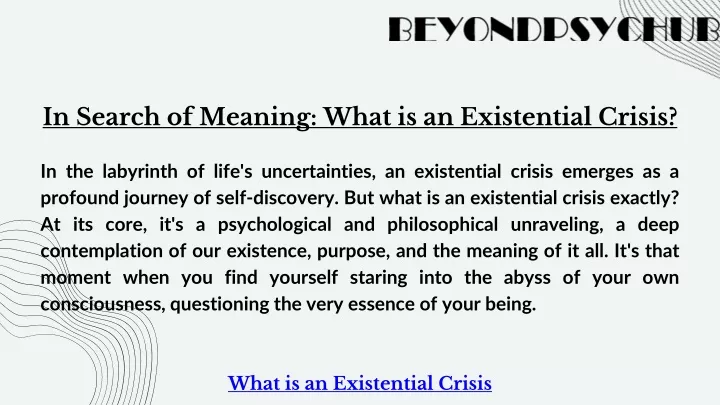 in search of meaning what is an existential crisis