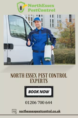 Best North Essex Pest Control Experts