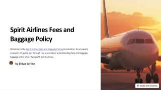 Spirit Airlines Fees and Baggage Policy