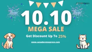Hurry, It's 10.10 Sale Time: Save 20% on Pet Supplies