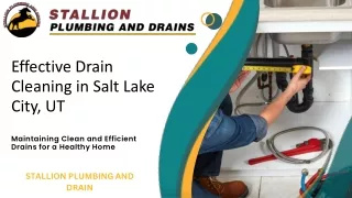 Effective Drain Cleaning in Salt Lake City, UT