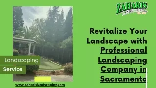 Xeriscape Sacramento | Zaharis Landscaping