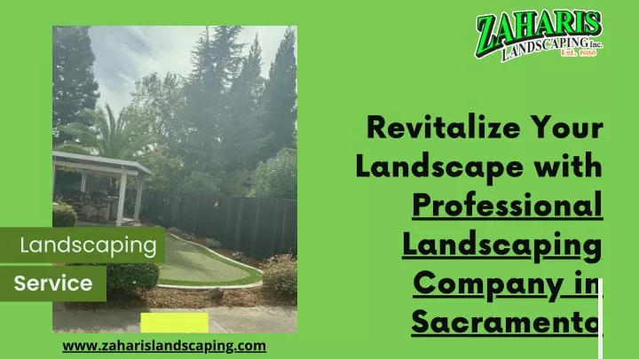 revitalize your landscape with professional