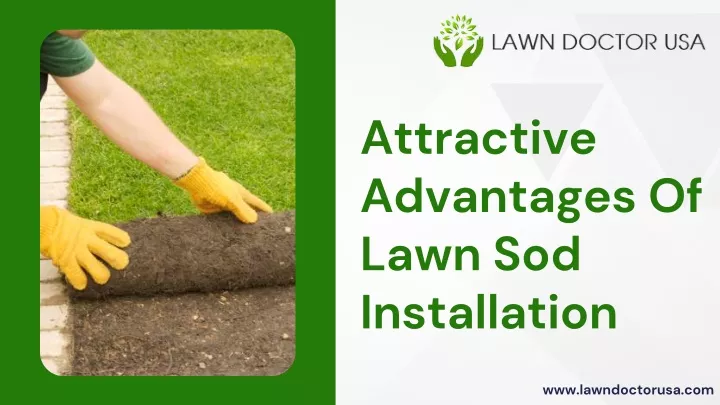 attractive advantages of lawn sod installation