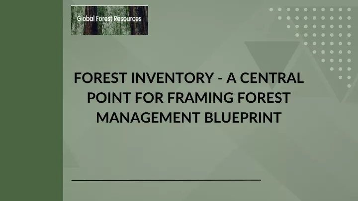 forest inventory a central point for framing