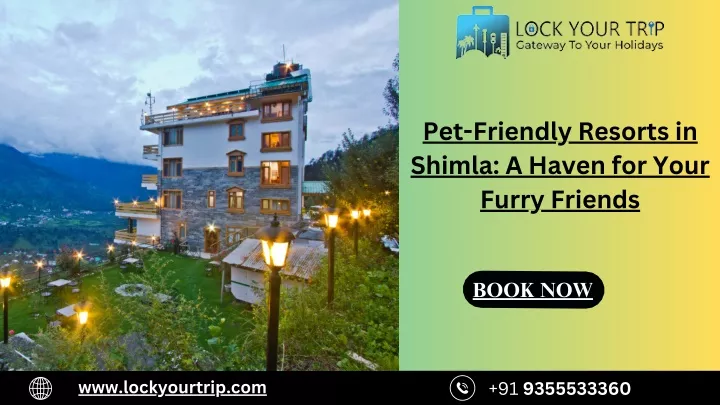 pet friendly resorts in shimla a haven for your