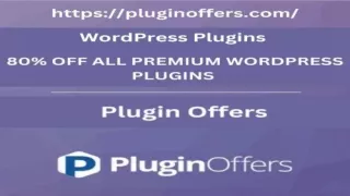What is the WordPress Plugin?