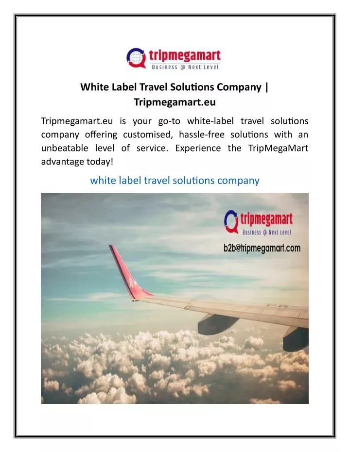 white label travel solutions company tripmegamart
