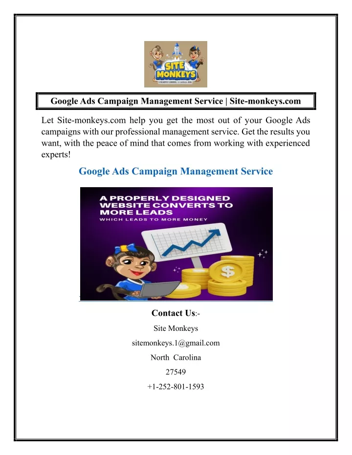 google ads campaign management service site