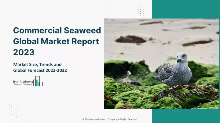 commercial seaweed global market report 2023