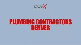 Plumbing Contractors Denver Safeguard Your Pipes From Pet-Induced Woes