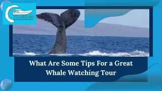 What Are Some Tips For a Great Whale Watching Tour
