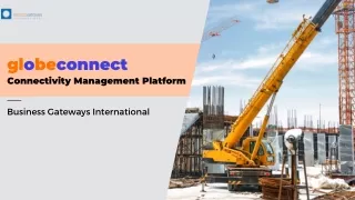 GlobeConnect: The Streamlined Connectivity Management Platform