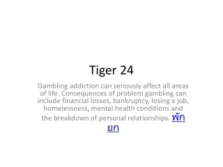 tiger 24