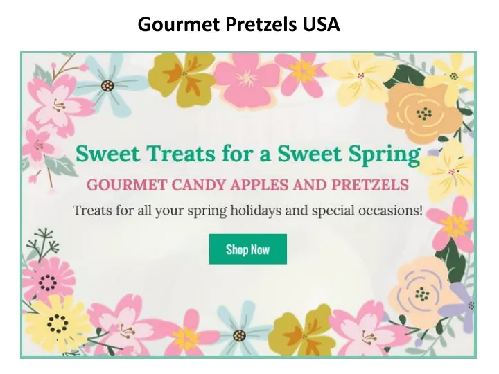 gourmet pretzels usa