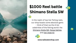 Shimano Stella SW: Unleash Precision and Power in Your Fishing