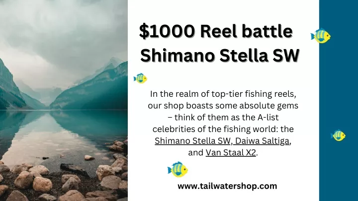 PPT - Shimano Stella SW: Unleash Precision and Power in Your Fishing  PowerPoint Presentation - ID:12567462