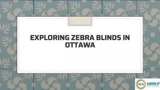 Exploring Zebra Blinds In Ottawa