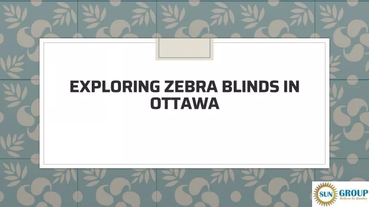 exploring zebra blinds in ottawa