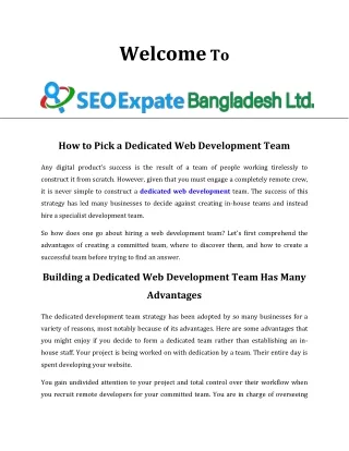 Dedicated Web Development |  SEO Expate BD Ltd