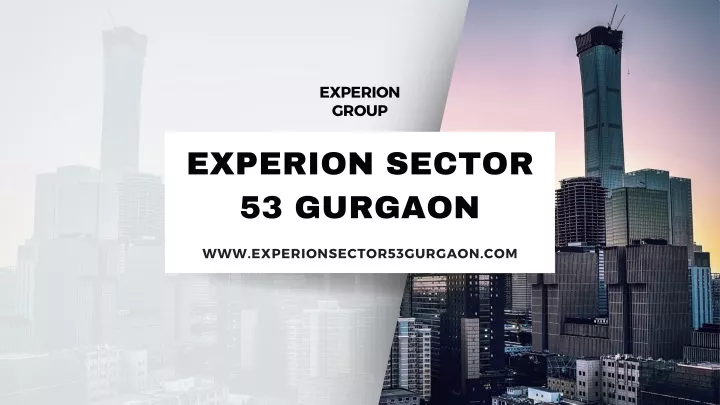 experion group