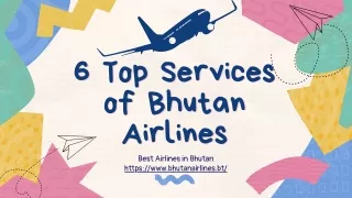 Best Services in Flights & Airport - Bhutan Airlines