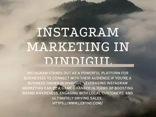 Elevate Your Brand: Instagram Marketing in Dindigul