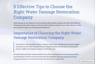 5 Essential Tips for Finding the Perfect Water Damage Restoration Company