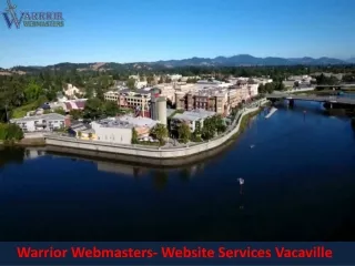 Warrior Webmasters- Website Services Vacaville