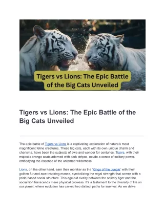 Tigers-vs-Lions