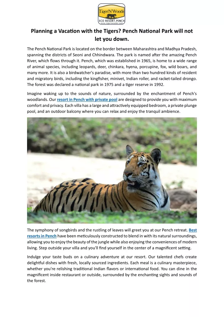 planning a vacation with the tigers pench