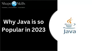 Why Java is so Popular in 2023