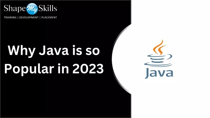 why java is so popular in 2023