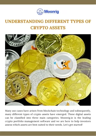 Understanding Different Types of Crypto Assets